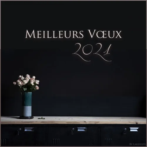 Meilleurs Vœux 2021 !