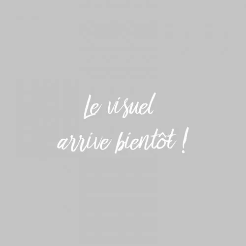 ✂️ Mitaines en fausse fourrure